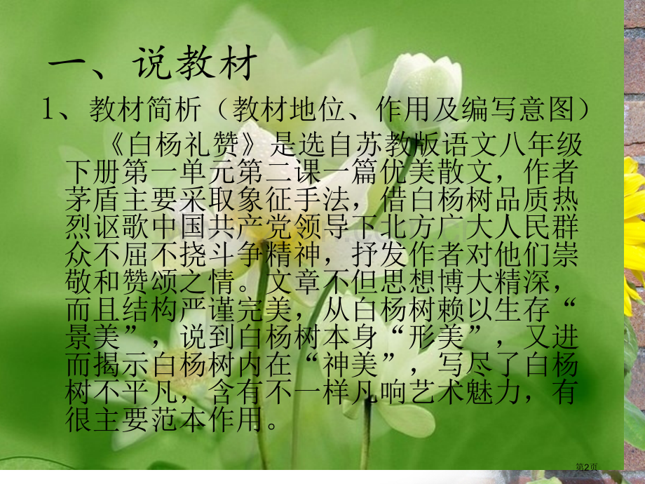 新编白杨礼赞专业知识市公开课一等奖百校联赛获奖课件.pptx_第2页
