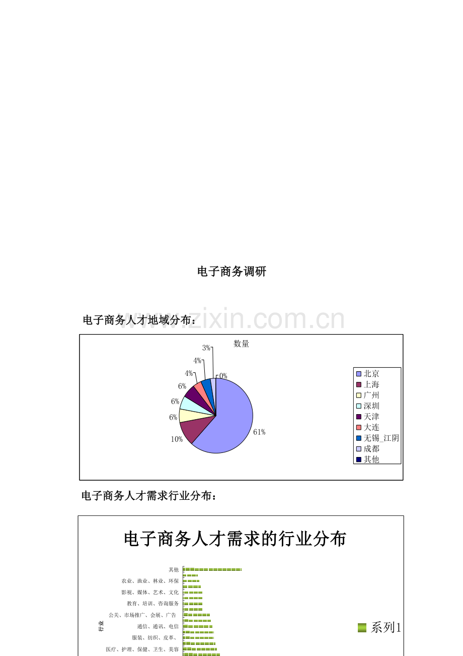 电子商务调研报告样本.doc_第1页