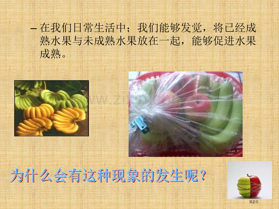 生物化学知识乙烯催熟省公共课一等奖全国赛课获奖课件.pptx_第2页