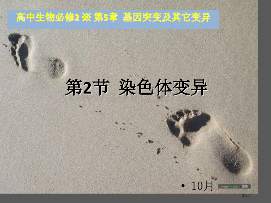 生物必修课堂教学染色体变异省公共课一等奖全国赛课获奖课件.pptx_第1页