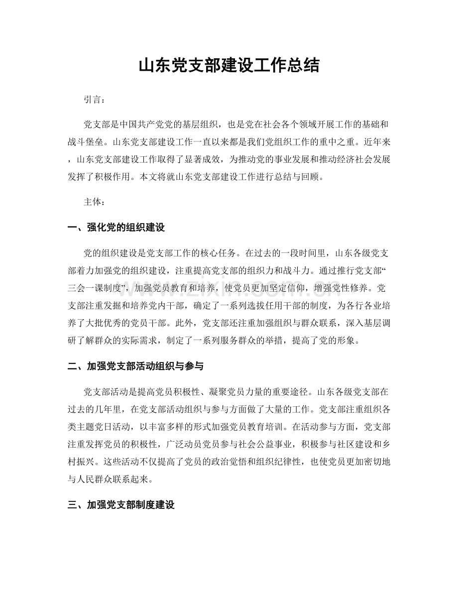山东党支部建设工作总结.docx_第1页