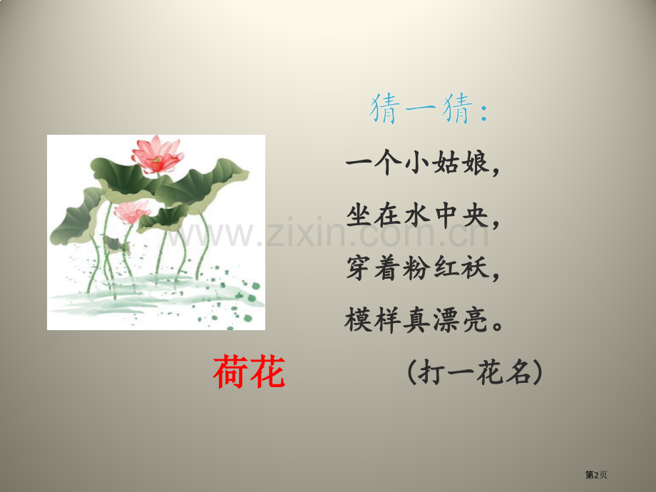荷花课件省公开课一等奖新名师比赛一等奖课件.pptx_第2页