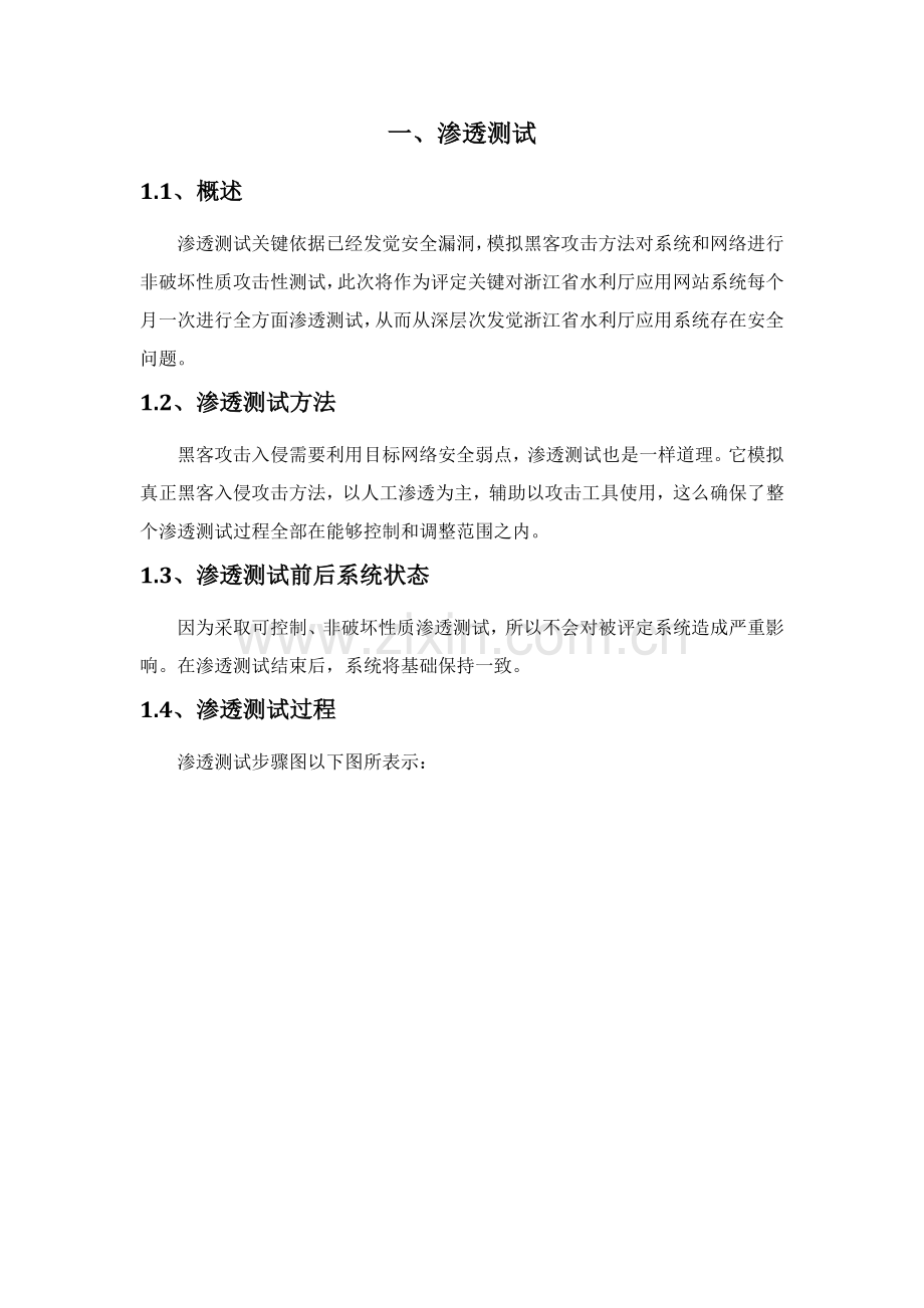 渗透测试风险评估核心技术专业方案.docx_第1页