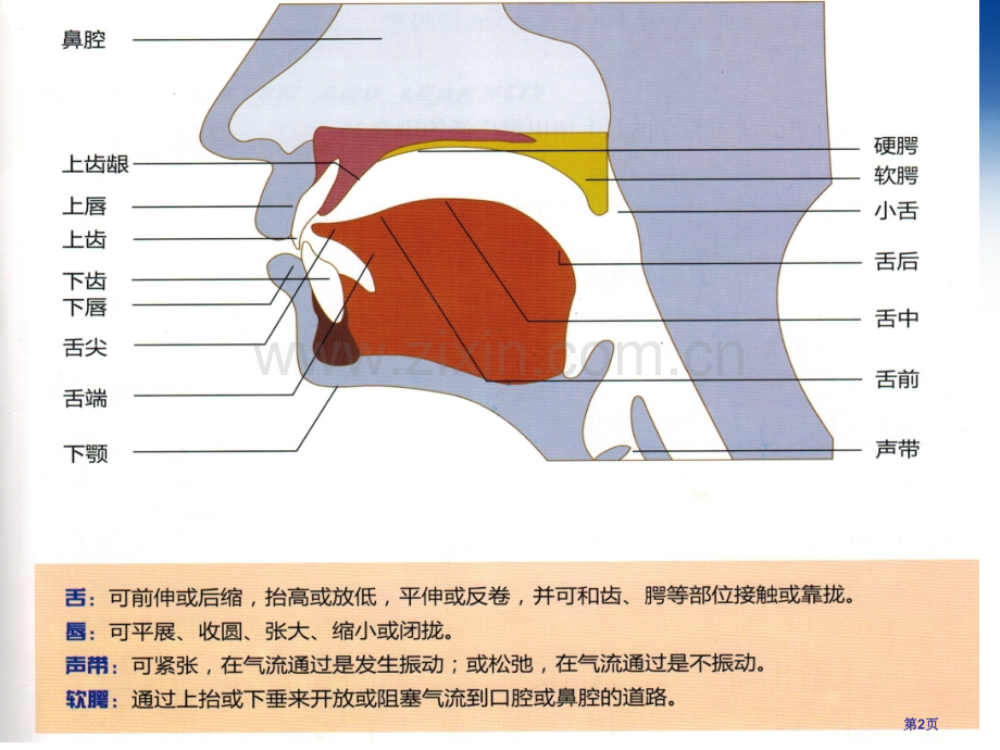 新节拍语音Unit2市公开课一等奖百校联赛获奖课件.pptx_第2页