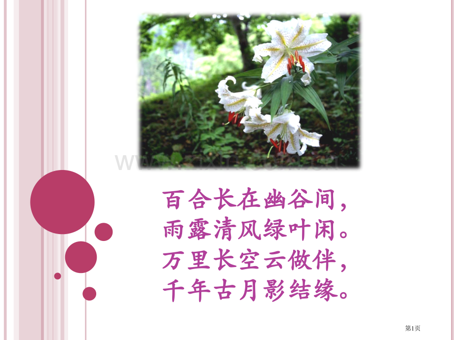 百合花开教学省公共课一等奖全国赛课获奖课件.pptx_第1页