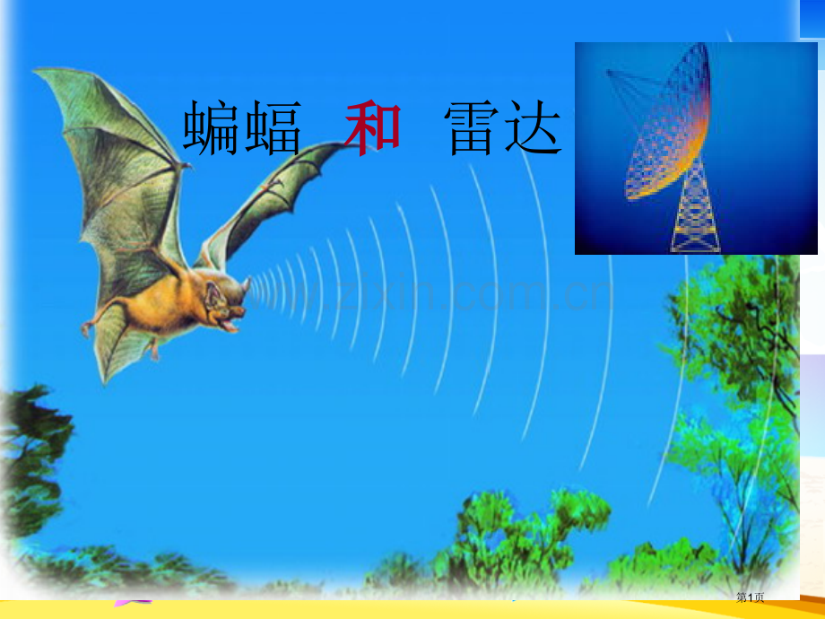 蝙蝠和雷达教学设计省公共课一等奖全国赛课获奖课件.pptx_第1页