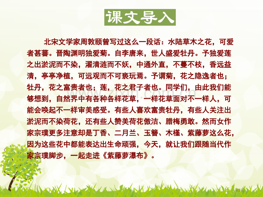 紫藤萝瀑布示范课市公开课一等奖百校联赛获奖课件.pptx_第1页