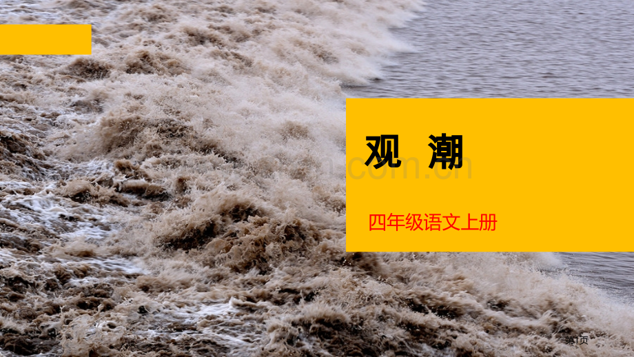 观潮优秀课件省公开课一等奖新名师比赛一等奖课件.pptx_第1页