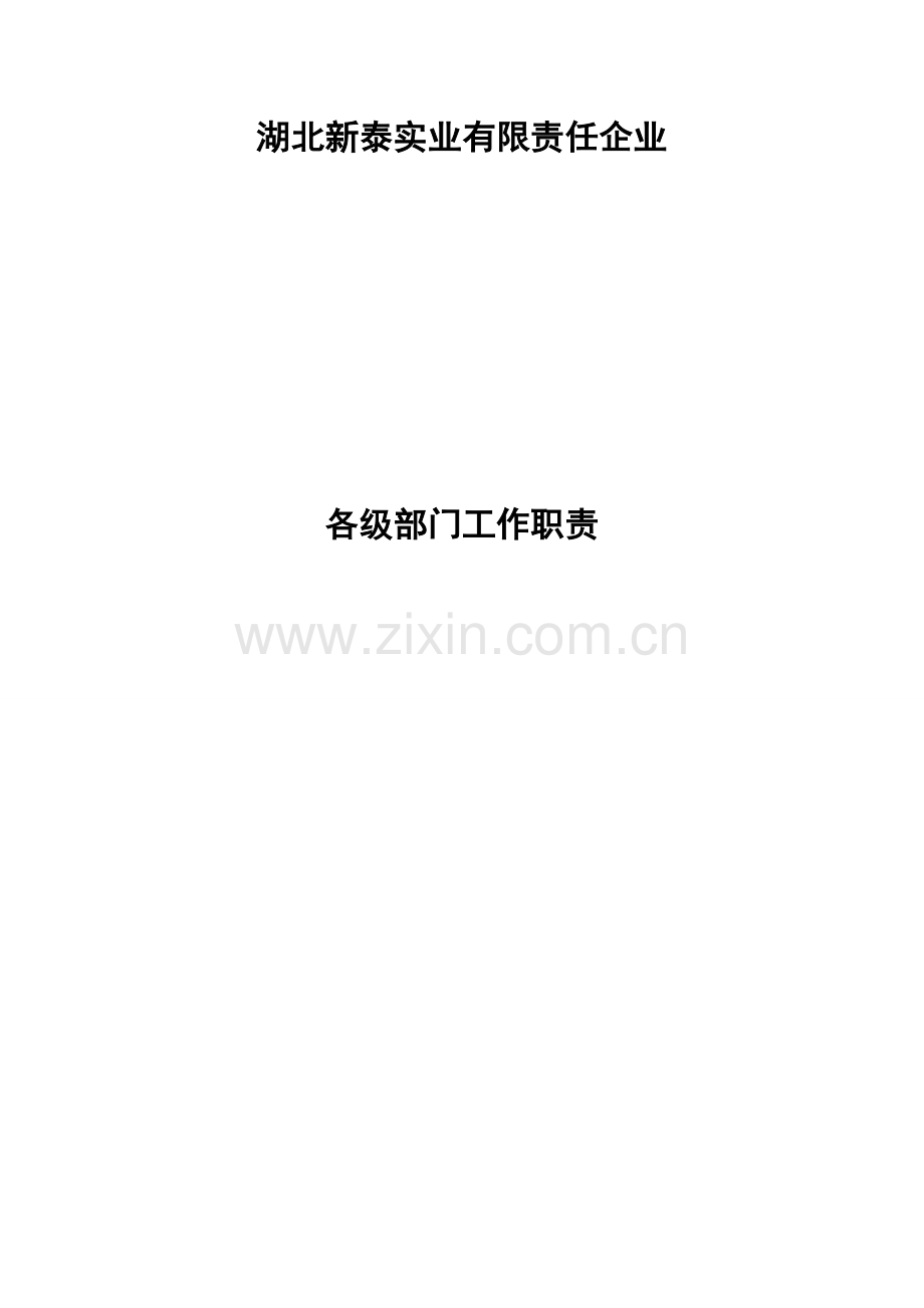 湖北实业公司各部门岗位职责样本.doc_第1页