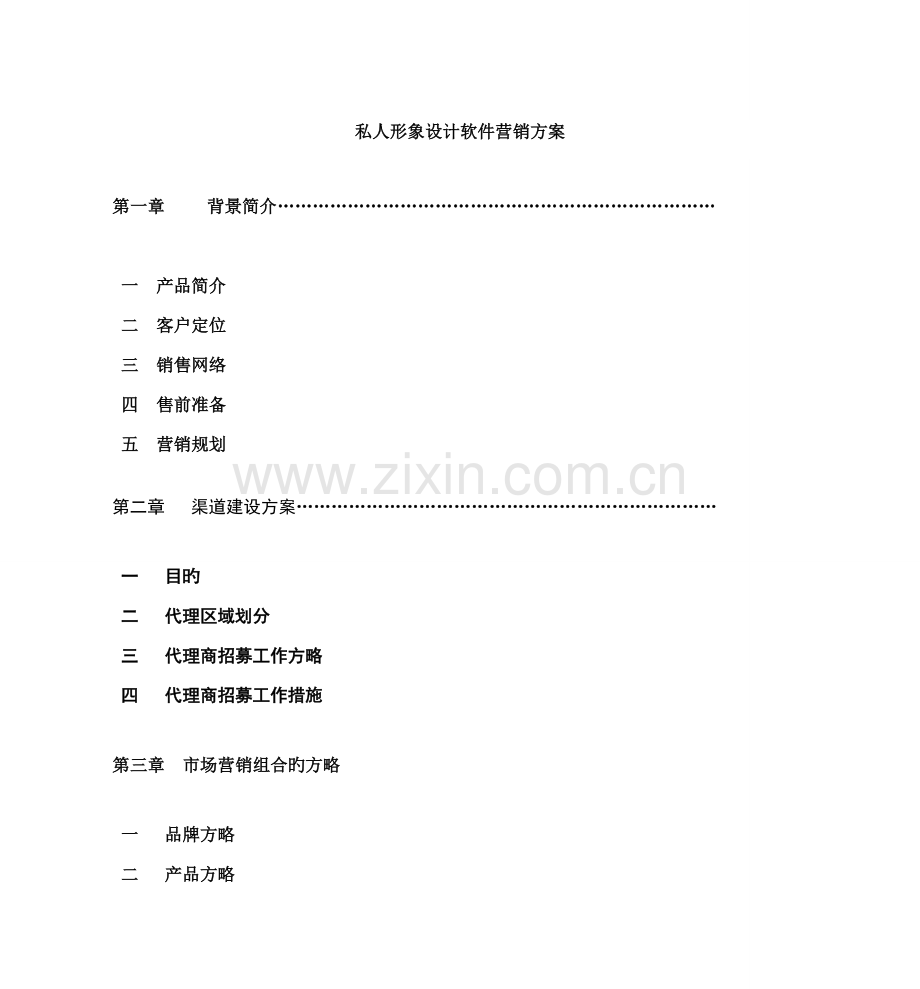 私人形象设计软件营销专题方案.docx_第1页