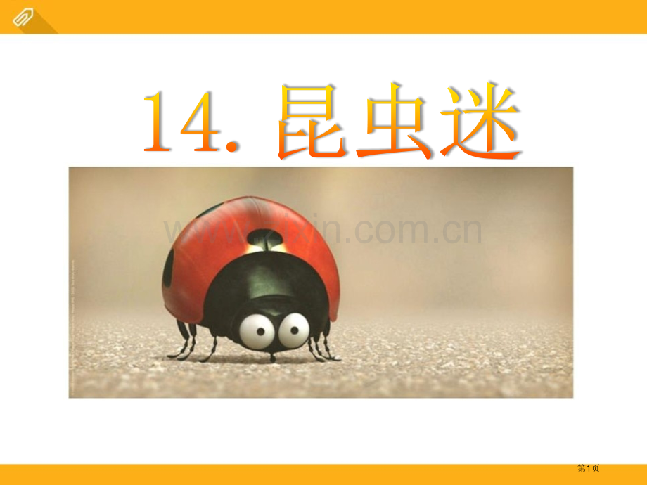 昆虫迷省公开课一等奖新名师比赛一等奖课件.pptx_第1页