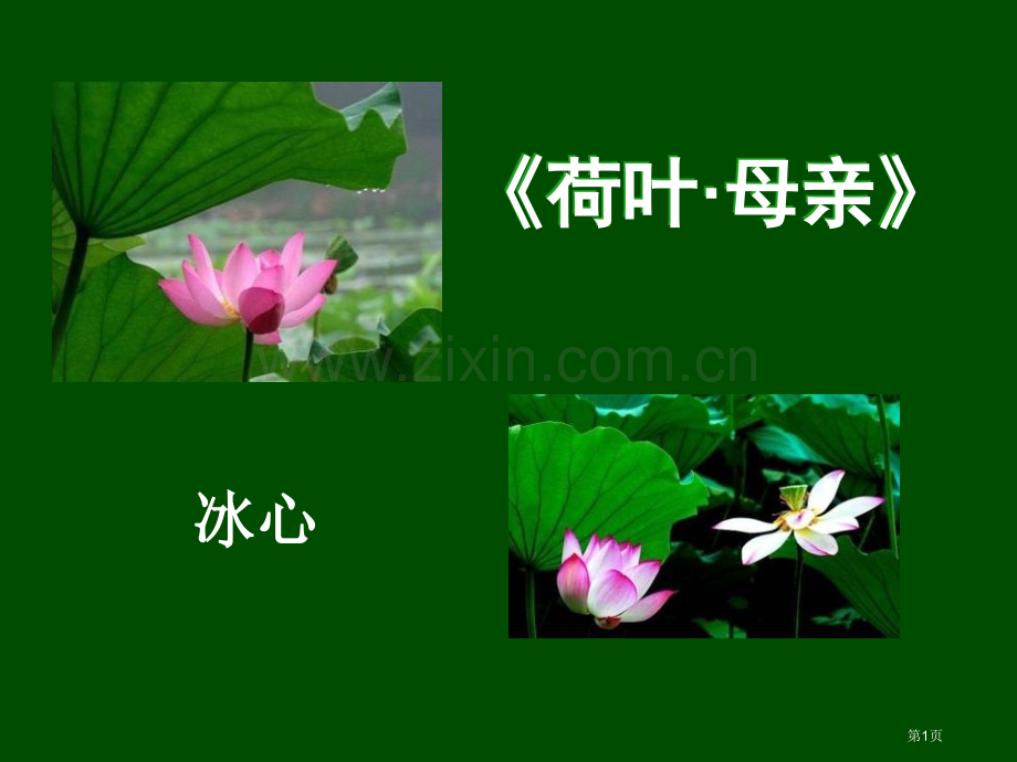 荷叶·母亲新版省公开课一等奖新名师比赛一等奖课件.pptx_第1页