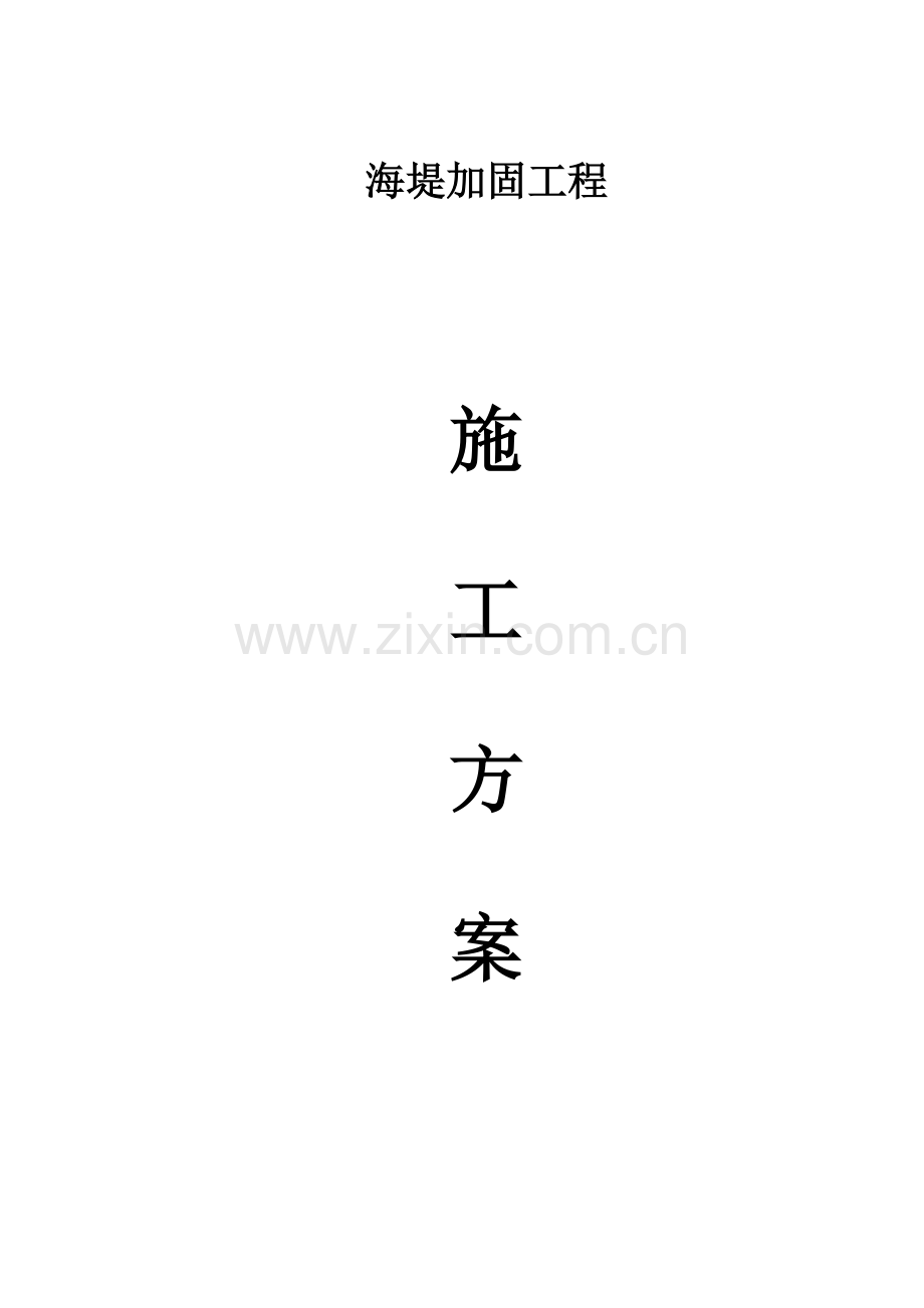 海堤加固关键工程专题方案.docx_第1页