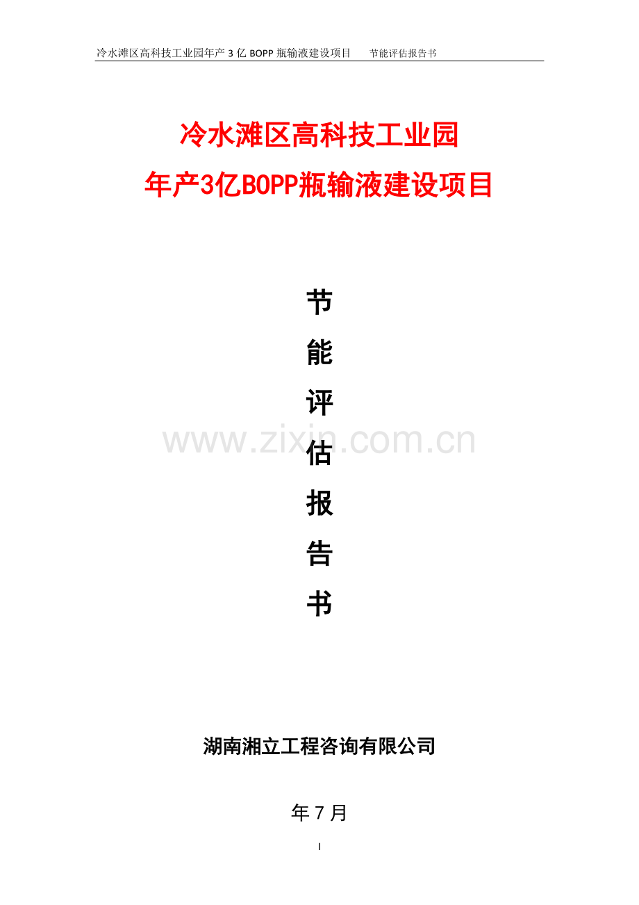 年产3亿瓶bopp注射液节能评估报告.doc_第1页
