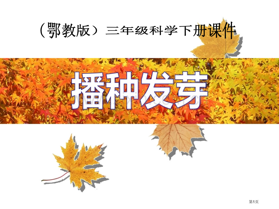 播种发芽课件省公开课一等奖新名师比赛一等奖课件.pptx_第1页