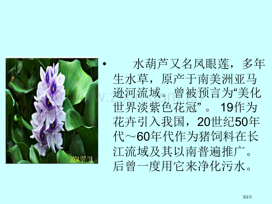 生物入侵者修改稿省公共课一等奖全国赛课获奖课件.pptx_第2页