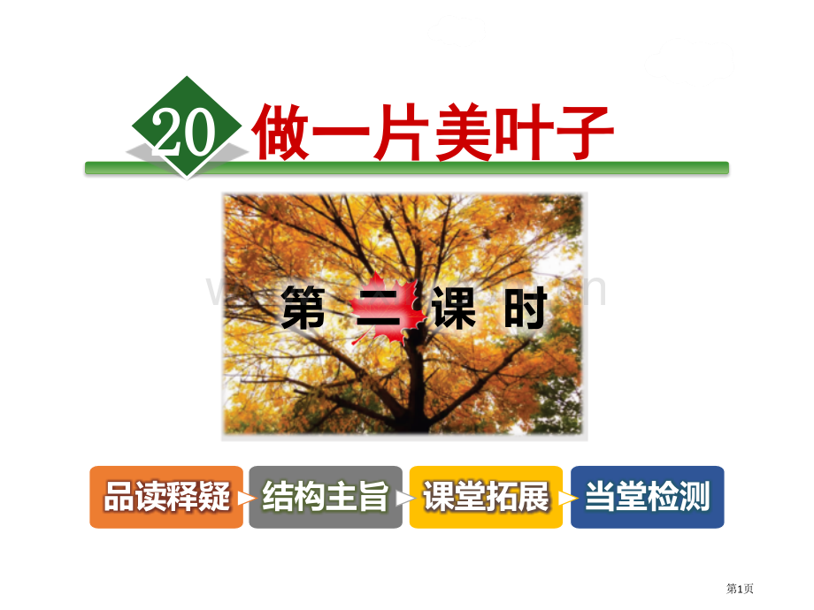 做一片美的叶子省公开课一等奖新名师比赛一等奖课件.pptx_第1页