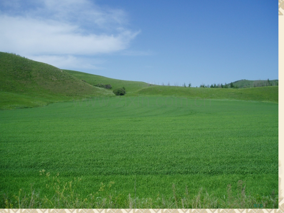 苏教版语文六年级上册草原第一课时省公共课一等奖全国赛课获奖课件.pptx_第2页