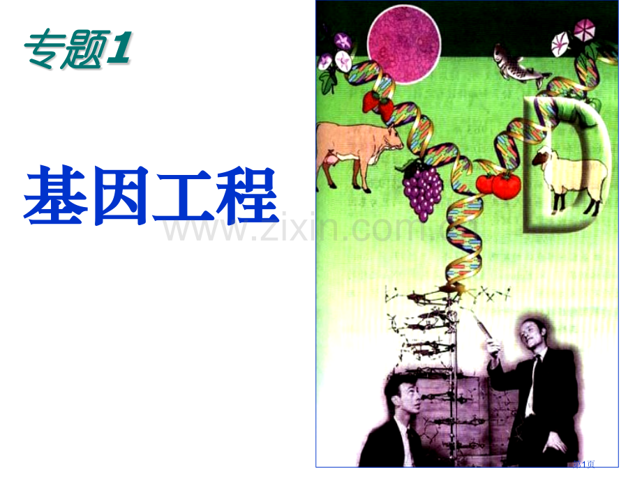 生物DNA重组技术的基本工具省公共课一等奖全国赛课获奖课件.pptx_第1页