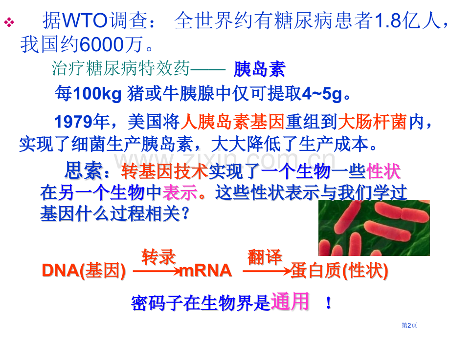 生物DNA重组技术的基本工具省公共课一等奖全国赛课获奖课件.pptx_第2页