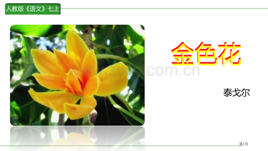 金色花件省公开课一等奖新名师比赛一等奖课件.pptx_第1页