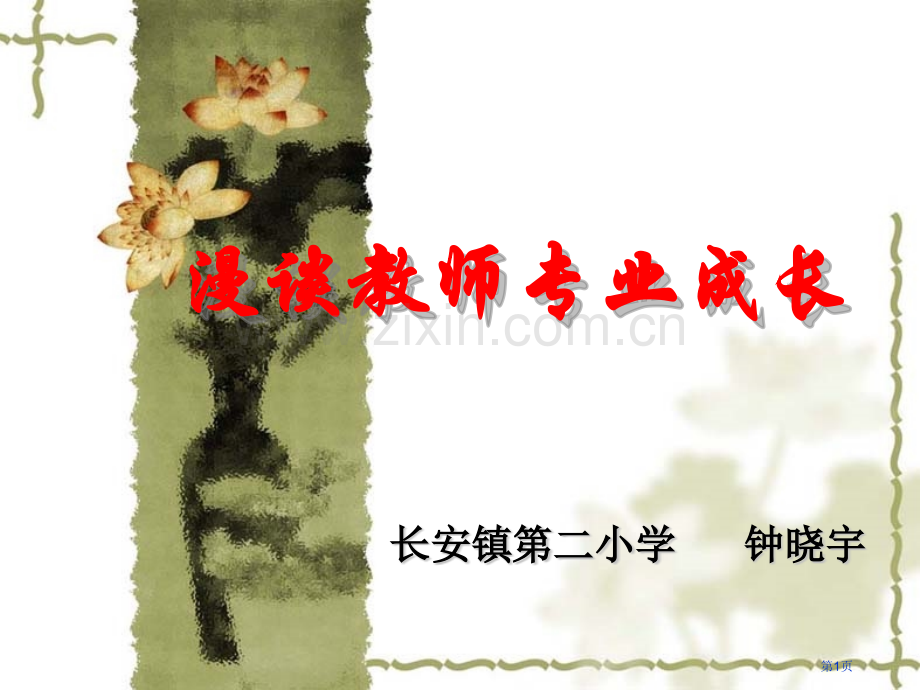 漫谈教师专业成长市公开课一等奖百校联赛特等奖课件.pptx_第1页