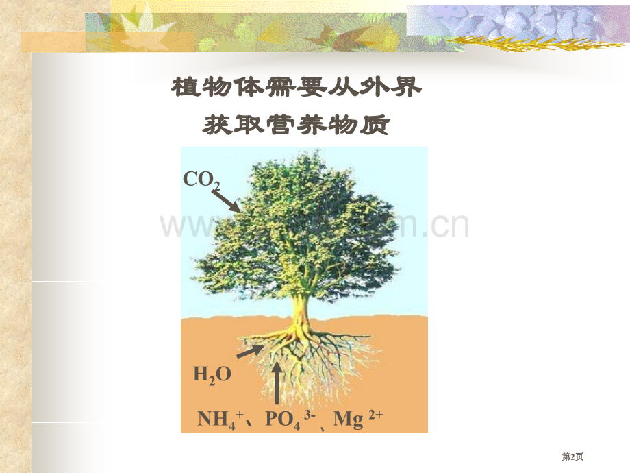 高二化学糖类省公共课一等奖全国赛课获奖课件.pptx_第2页
