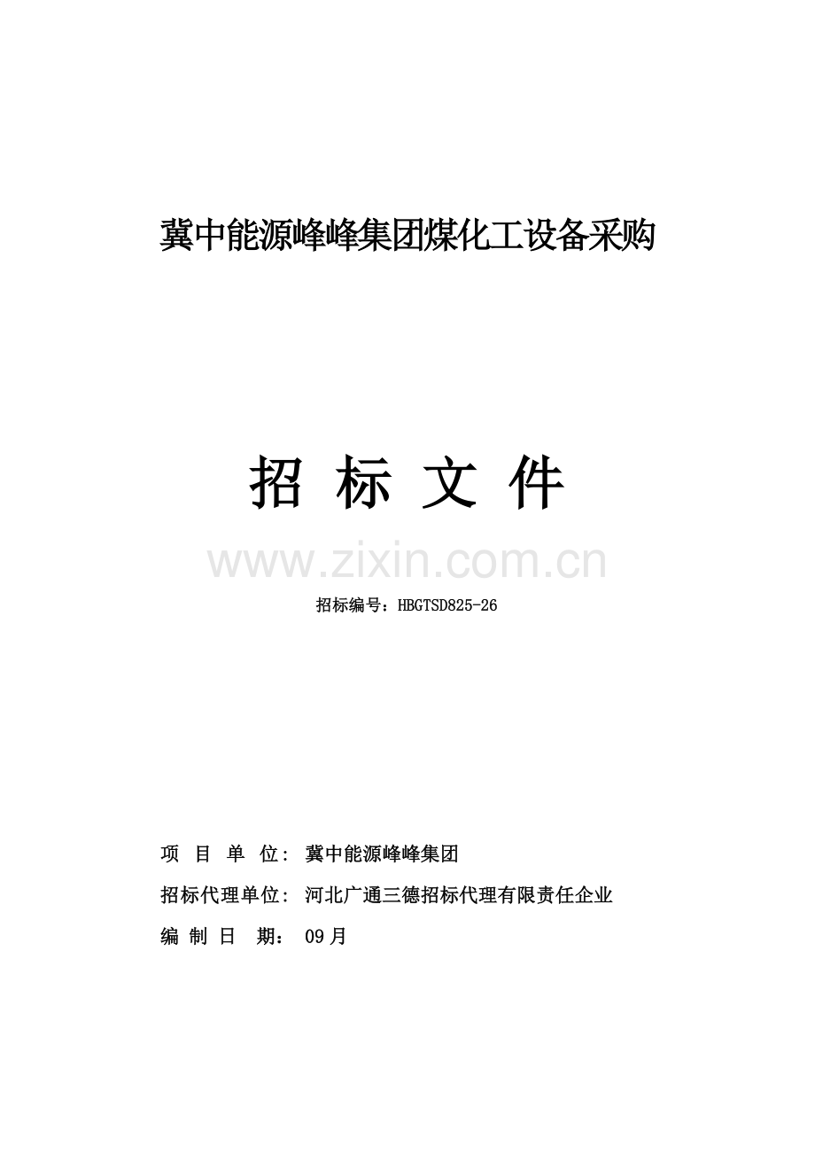 能源集团公司煤化工设备采购招标文件模板.doc_第1页