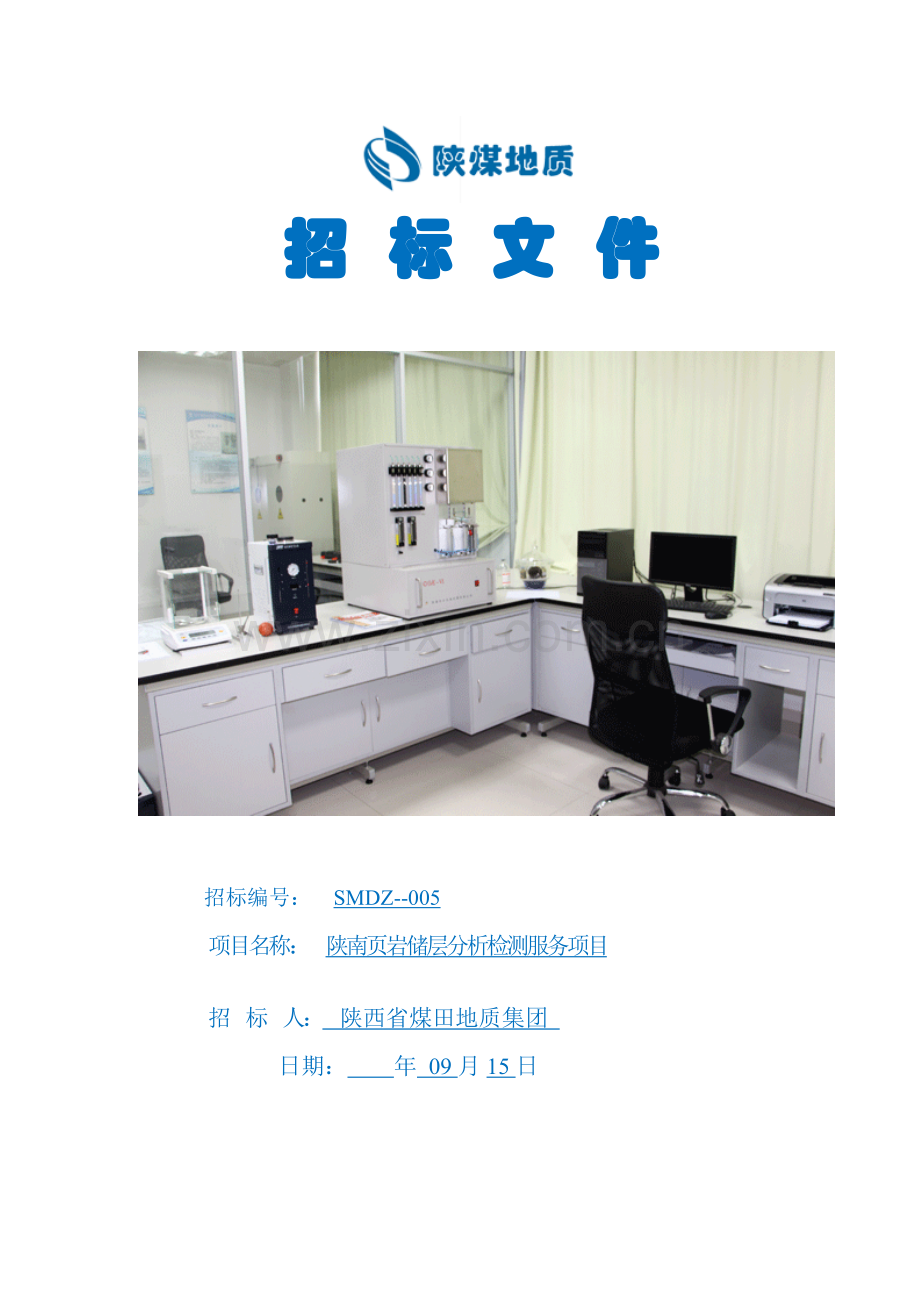 页岩储层分析检测服务项目招标文件模板.doc_第1页