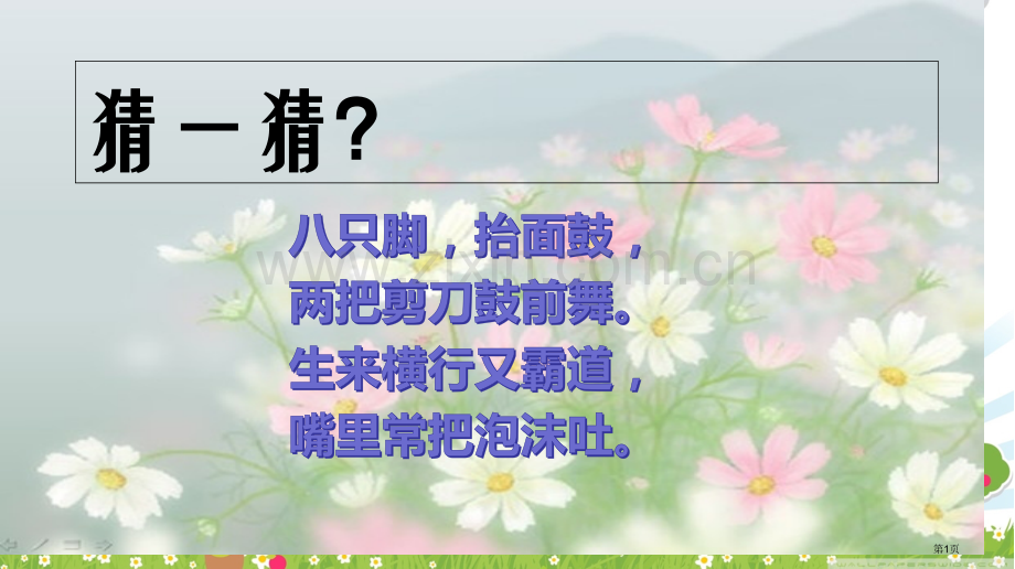 线描画螃蟹美术教育市公开课一等奖百校联赛获奖课件.pptx_第1页
