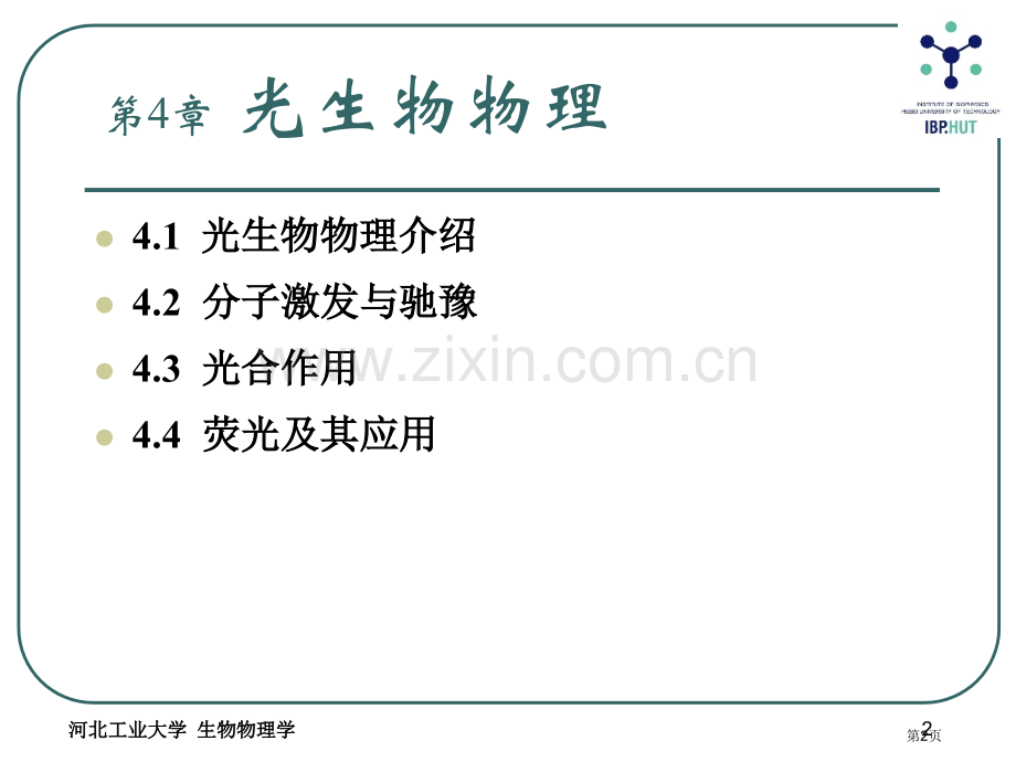 生物物理学省公共课一等奖全国赛课获奖课件.pptx_第2页