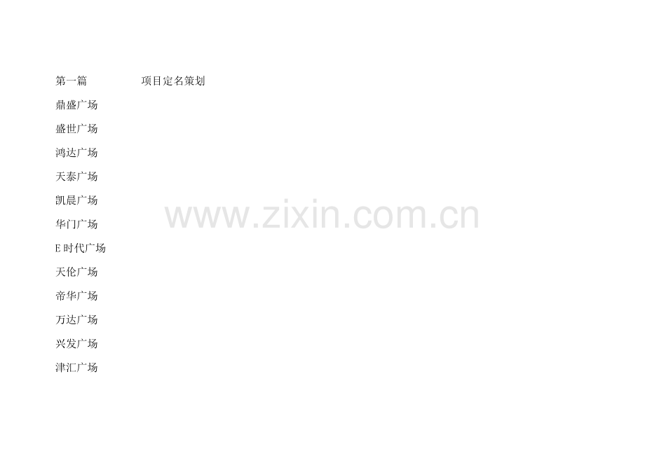 新时代广场专项策划案.doc_第2页
