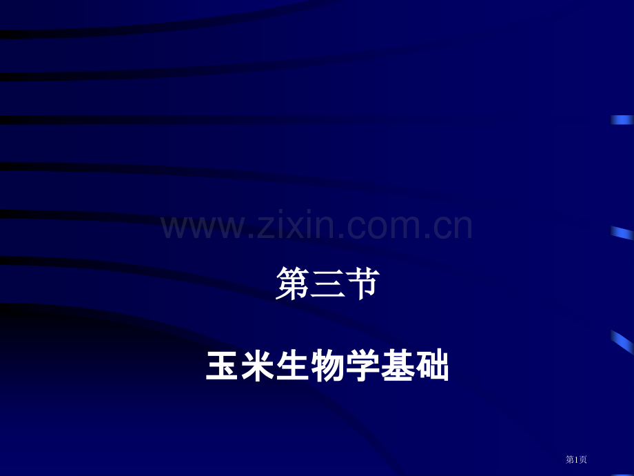玉米生物学基础省公共课一等奖全国赛课获奖课件.pptx_第1页