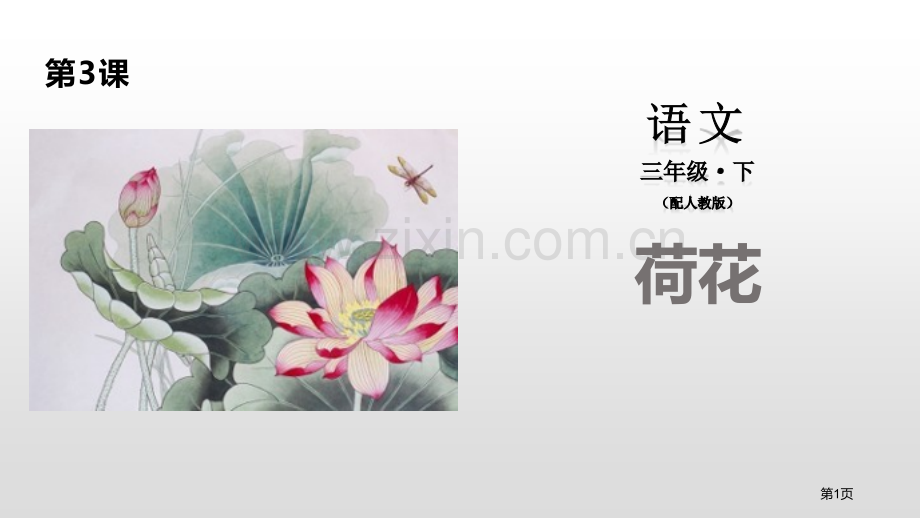 荷花优质省公开课一等奖新名师比赛一等奖课件.pptx_第1页