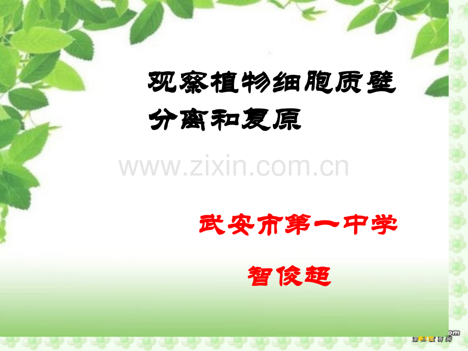 生物创新实验实验说课省公共课一等奖全国赛课获奖课件.pptx_第1页