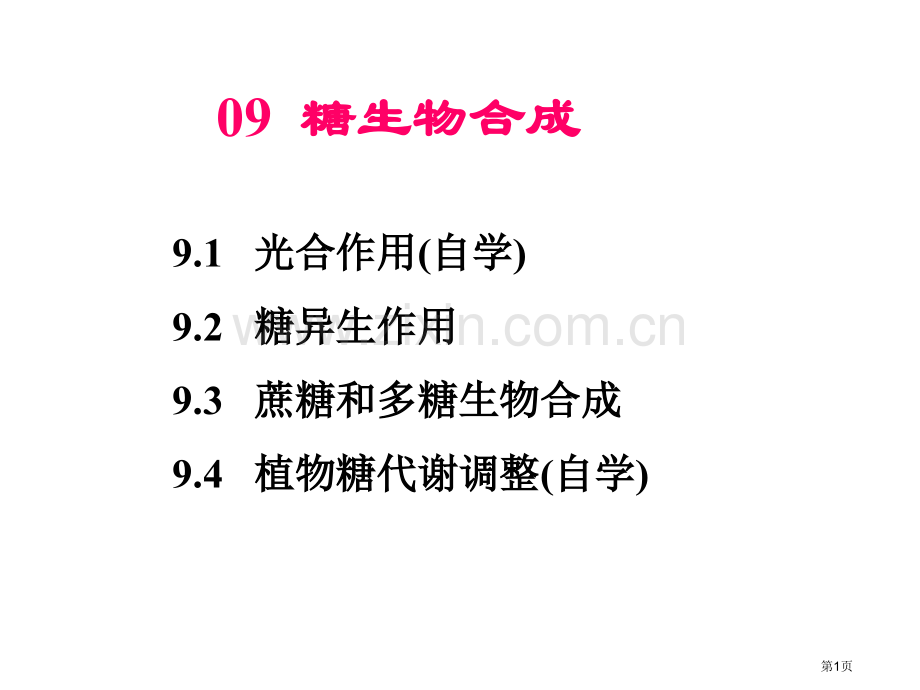 糖的生物合成省公共课一等奖全国赛课获奖课件.pptx_第1页