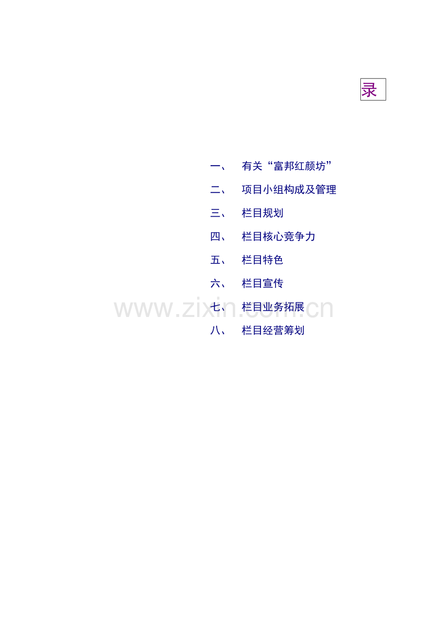 房地产专项项目运营专题方案.docx_第2页