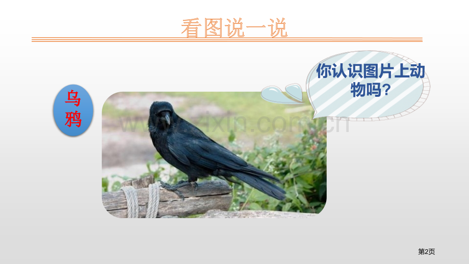 课文13乌鸦喝水省公开课一等奖新名师比赛一等奖课件.pptx_第2页