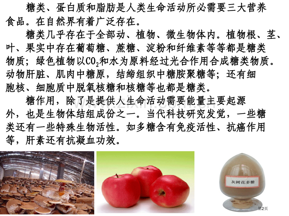 生物高分子化合物省公共课一等奖全国赛课获奖课件.pptx_第2页