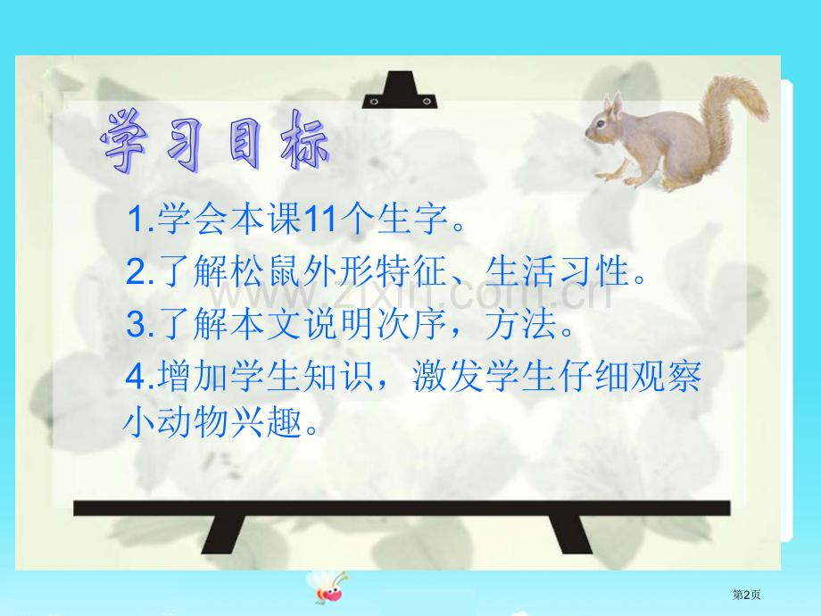 松鼠省公开课一等奖新名师比赛一等奖课件.pptx_第2页