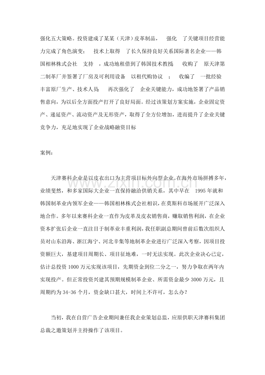 皮革制品有限公司战略融资策划案模板样本.doc_第2页