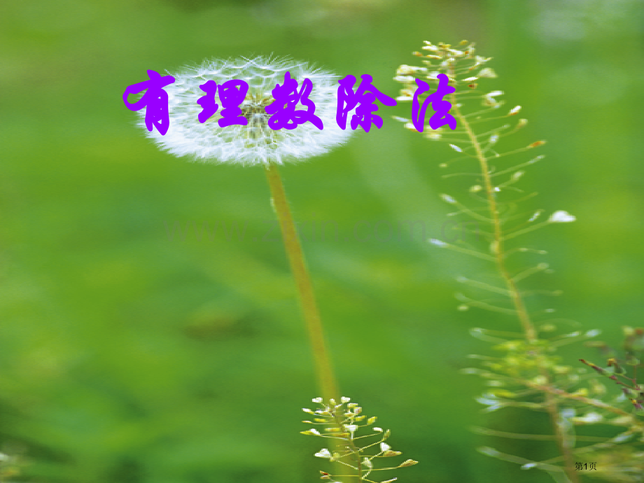 有理数的除法市公开课一等奖百校联赛获奖课件.pptx_第1页