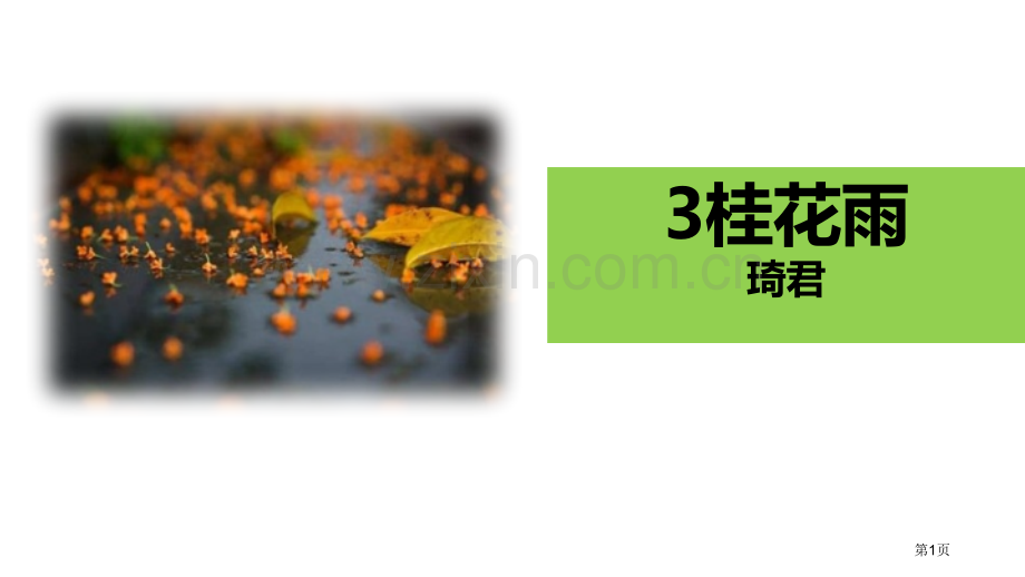 桂花雨PPT省公开课一等奖新名师比赛一等奖课件.pptx_第1页