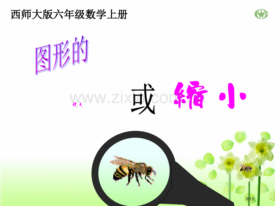 西师大版数学六上图形的放大与缩小省公共课一等奖全国赛课获奖课件.pptx_第1页