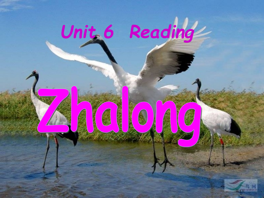 牛津译林版八上unitreading时Zhalongaspecialplace市公开课一等奖百校联赛.pptx_第1页
