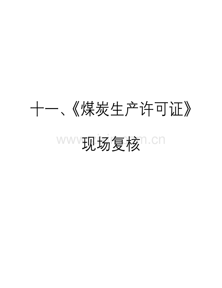 煤炭生产许可证现场复核手册模板.doc_第1页