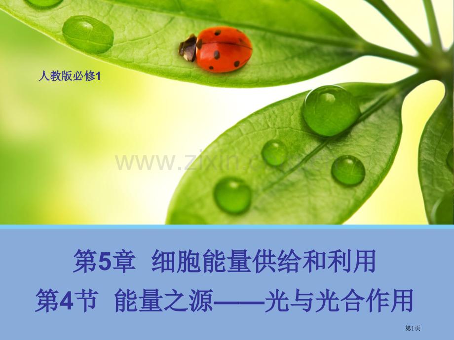 生物能量之源光与光合作用人教版必修省公共课一等奖全国赛课获奖课件.pptx_第1页