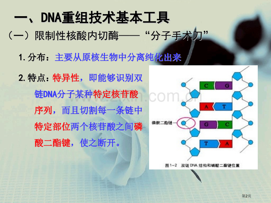 人教版生物选修三全高考复习可以用哦市公开课一等奖百校联赛特等奖课件.pptx_第2页