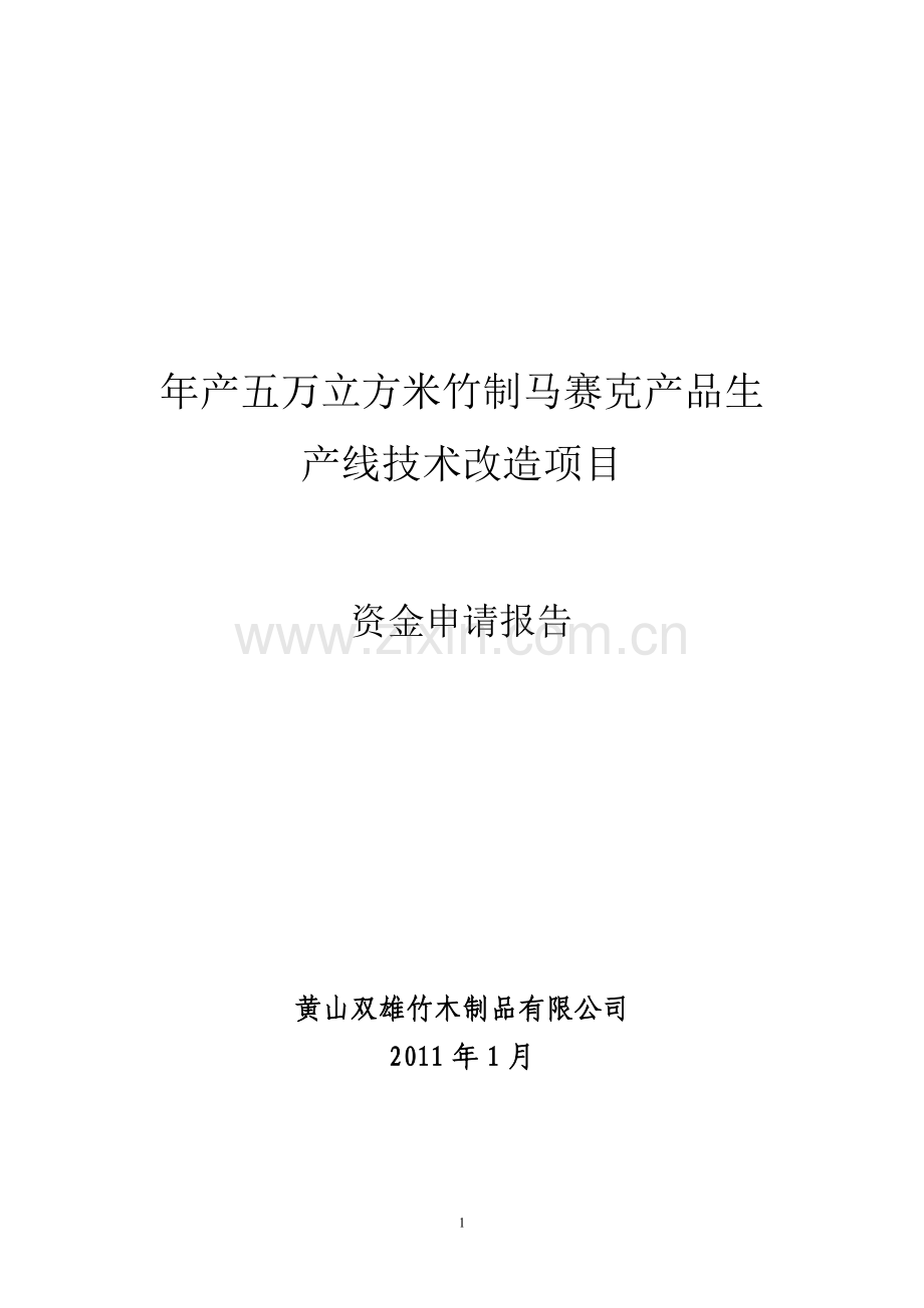 年产5万立方米竹制马赛克产品技术改造资金申请报告.doc_第1页