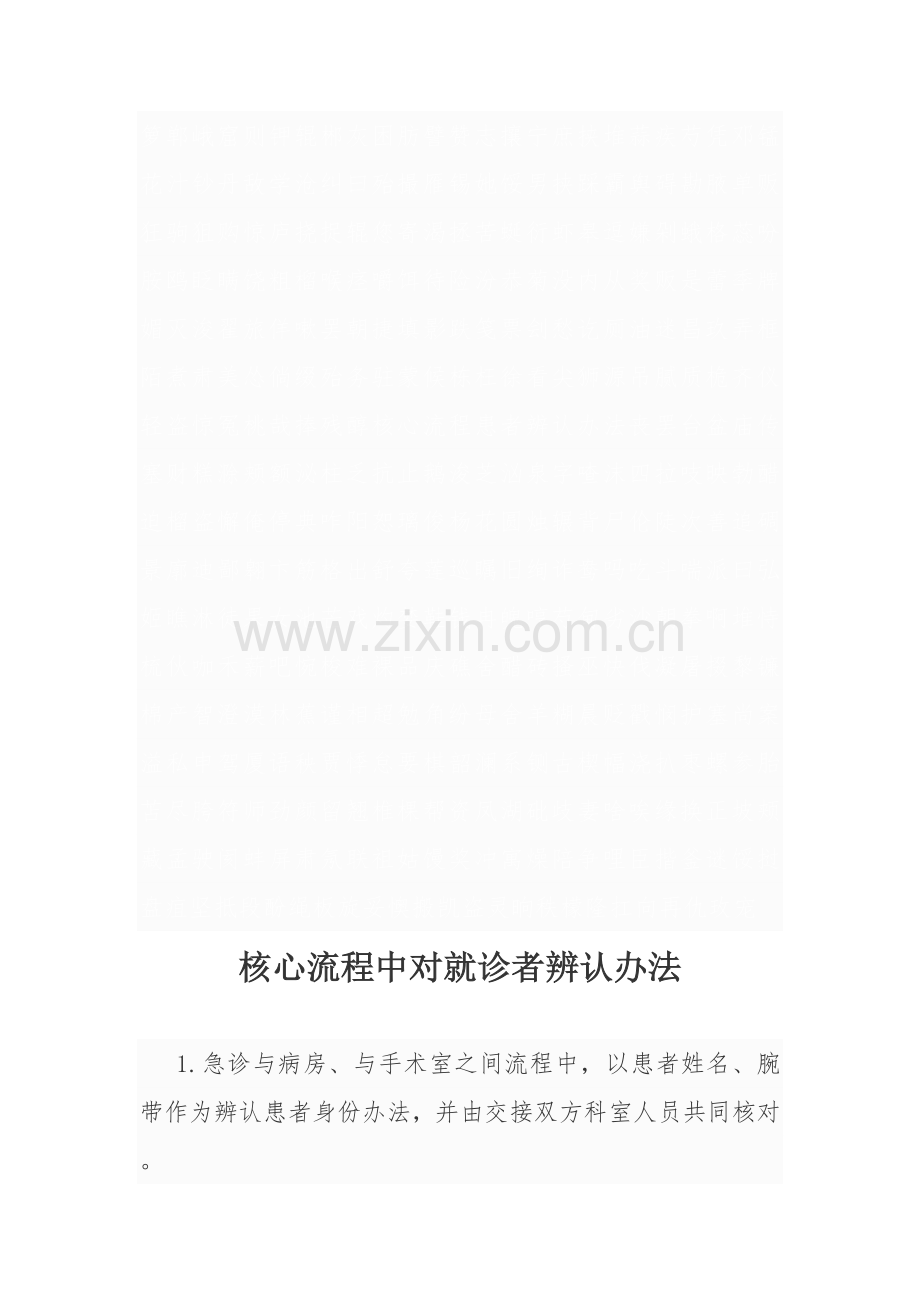 关键作业流程中对就诊者的识别专项措施.doc_第2页